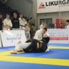 IMG 4169
