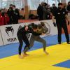 IMG 8473