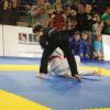 IMG 4085