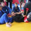 IMG 5296
