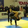 IMG 8119