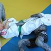 IMG 5121