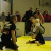 IMG 7679
