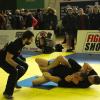 IMG 7989
