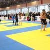 IMG 8691