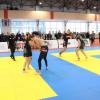 IMG 8478