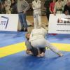 IMG 4175