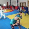IMG 5246