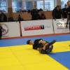 IMG 8745
