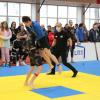 IMG 0995