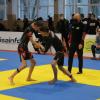 IMG 8742