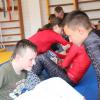 IMG 2768