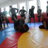 IMG 5151
