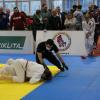 IMG 1185