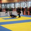 IMG 8692
