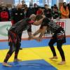 IMG 8380