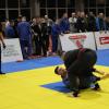 IMG 1285