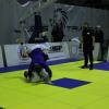 IMG 9064