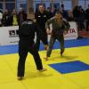 IMG 1241