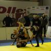 IMG 7595