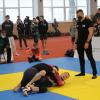 IMG 8679