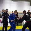 IMG 9675