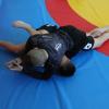 IMG 5195