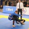 IMG 4279