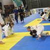 IMG 4023