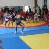 IMG 9535
