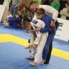 IMG 4061