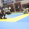 IMG 4025