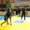 IMG 7887