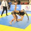 IMG 4285