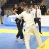 IMG 4164