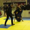IMG 8981