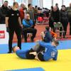 IMG 0961
