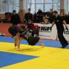 IMG 8772