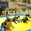 IMG 7388