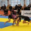 IMG 8771