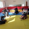 IMG 4985