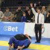 IMG 4184