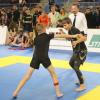 IMG 4248