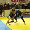 IMG 7776